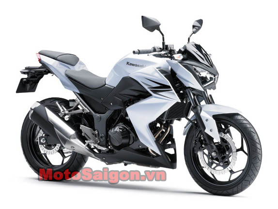 2013-Kawasaki-Z250-White.jpg