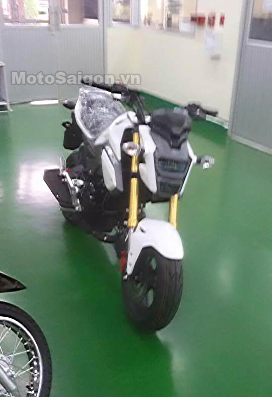 Msx-125-2016-moto-saigon.jpg