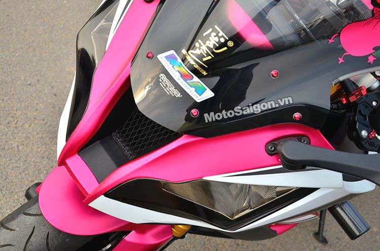 Ninja-ZX-10R-mau-hong-pink-decal-motosaigon-18.jpg