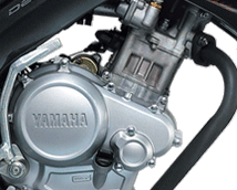 fz-150-fuel-enjection-system.gif