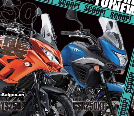 Kawasaki Versys 250 & Suzuki V-Strom 250