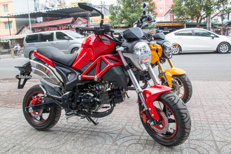 Tổng hợp Ducati Mini giá rẻ bán chạy tháng 32023  BeeCost