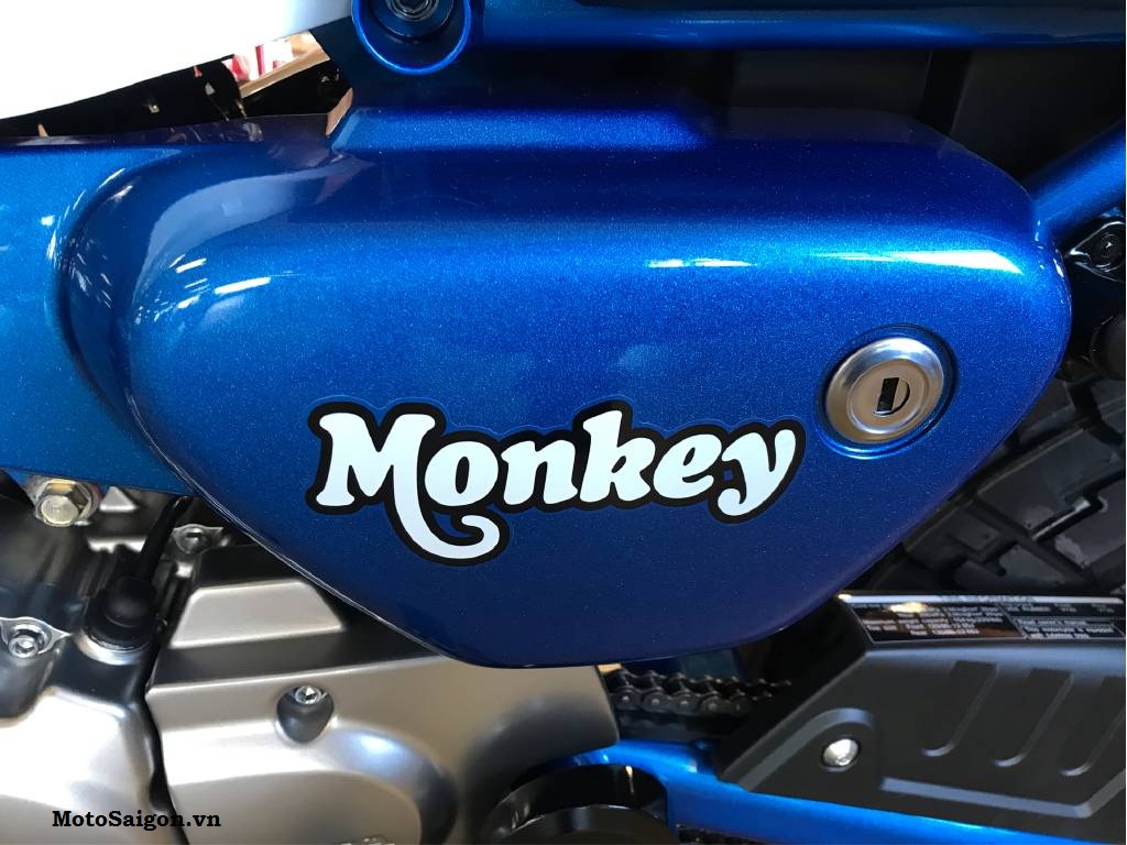 Xem trước Honda Monkey 125 2021 tại Mỹ