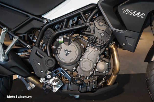 triumph tiger 900 base model