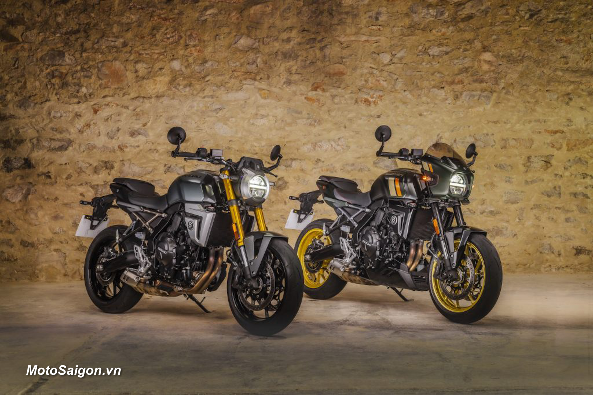 Suzuki GSX-8T, GSX-8TT cặp đôi mô tô cổ điển hoàn toàn mới