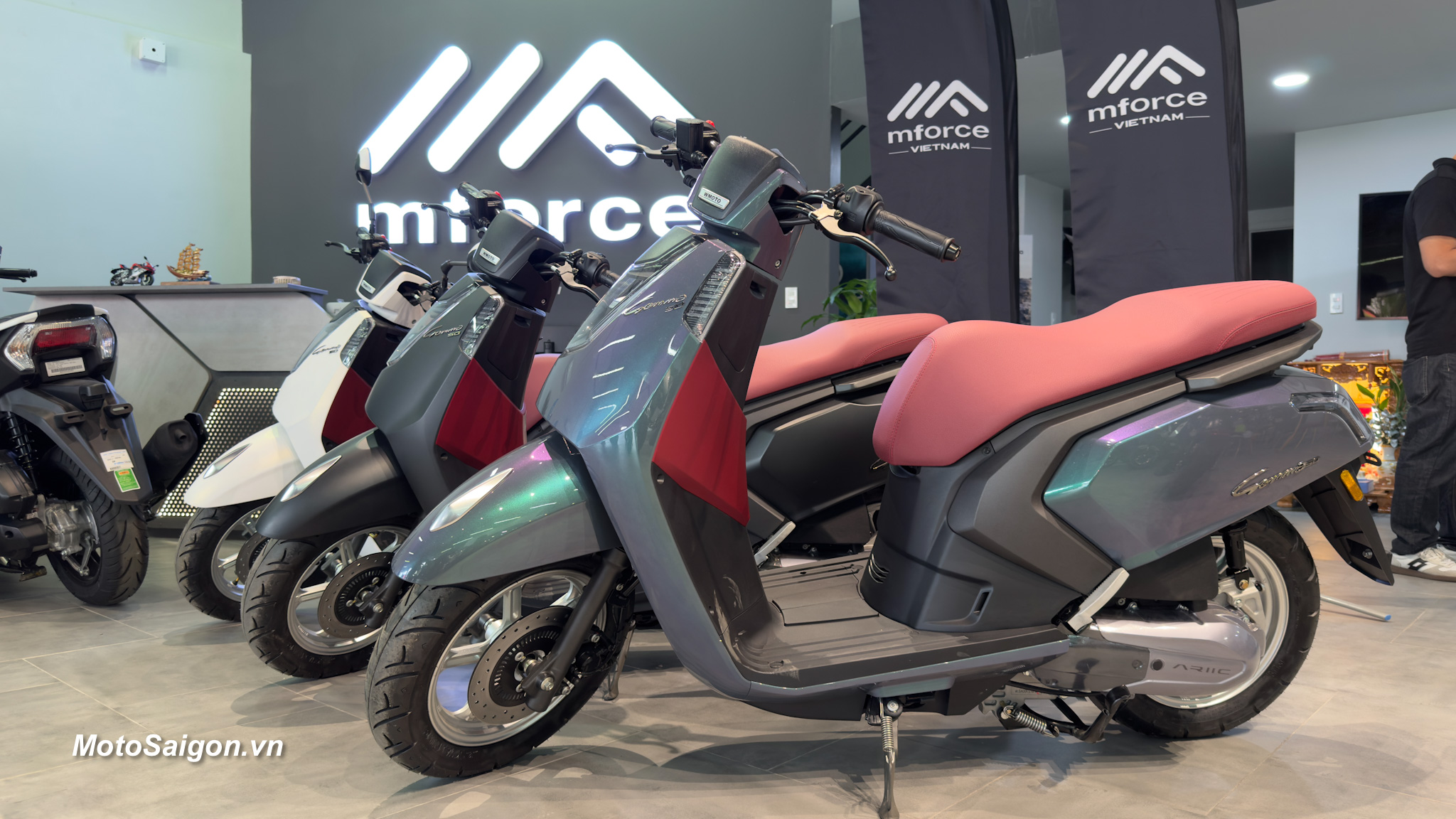 WMoto Gemma 50 xe tay ga học sinh siêu tiết kiệm giá bán hấp dẫn